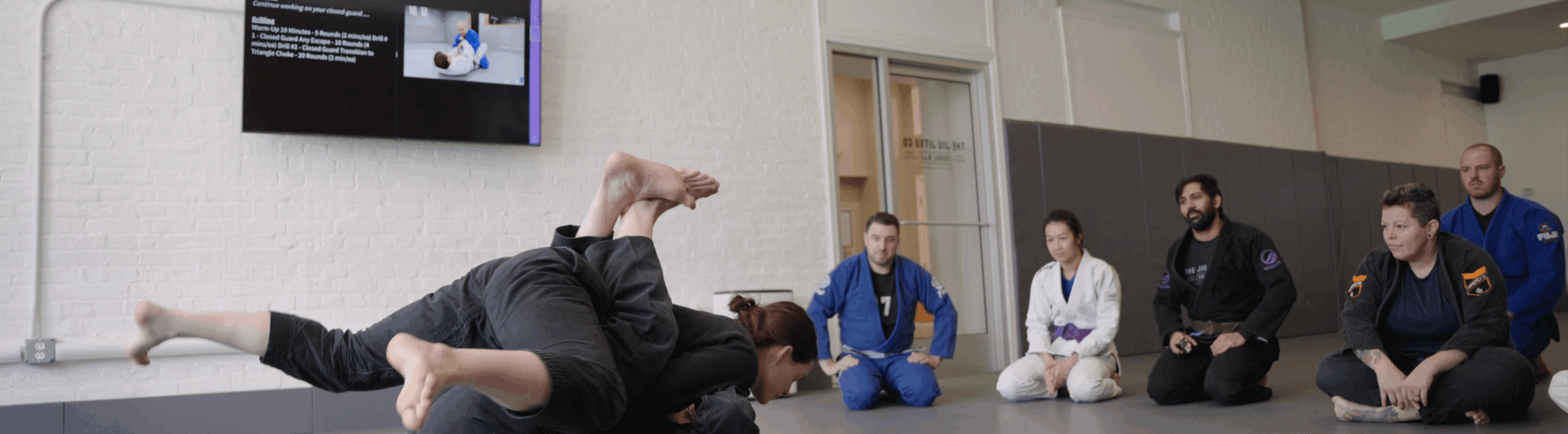 The Jiu Jitsu Company Revolutionized Their Digital Student Experience