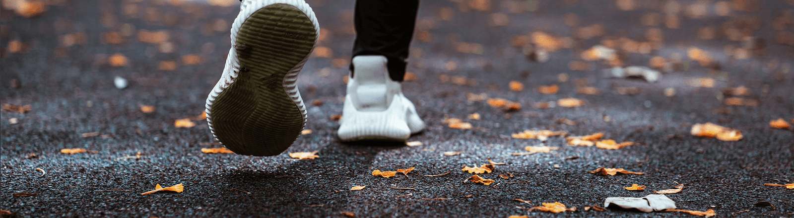 Behind the Numbers: How Gym Membership Trends Shift Throughout the Year