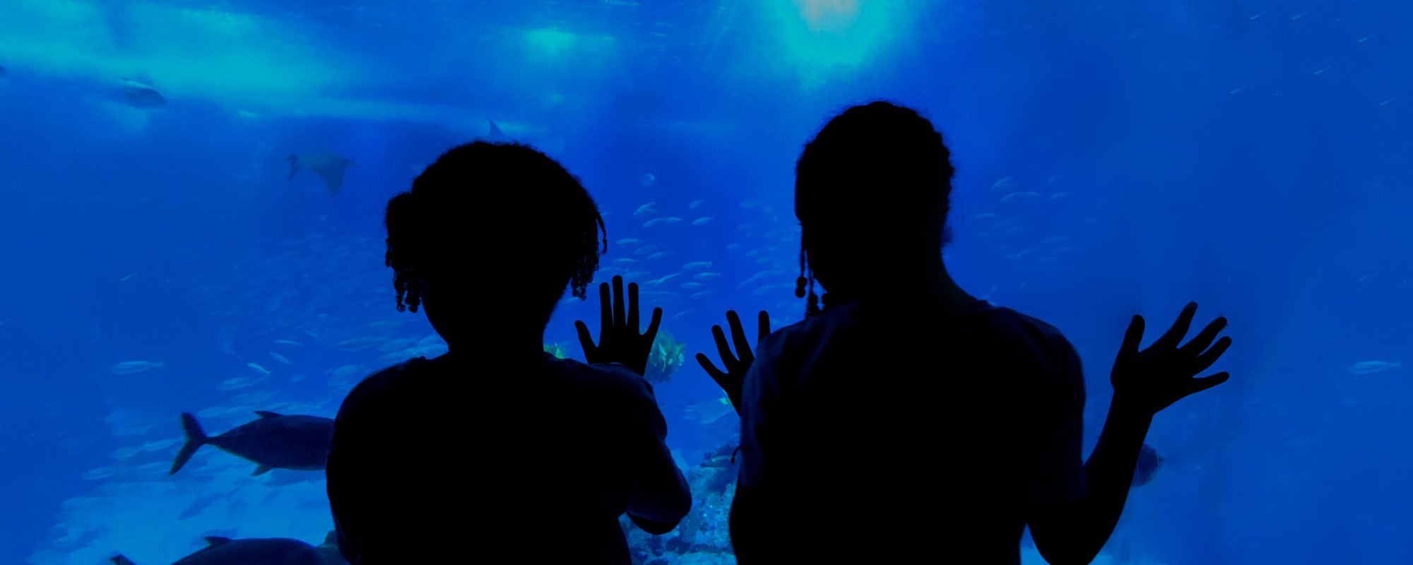 Creating smiles as wide as the ocean | Moinho da Juventude