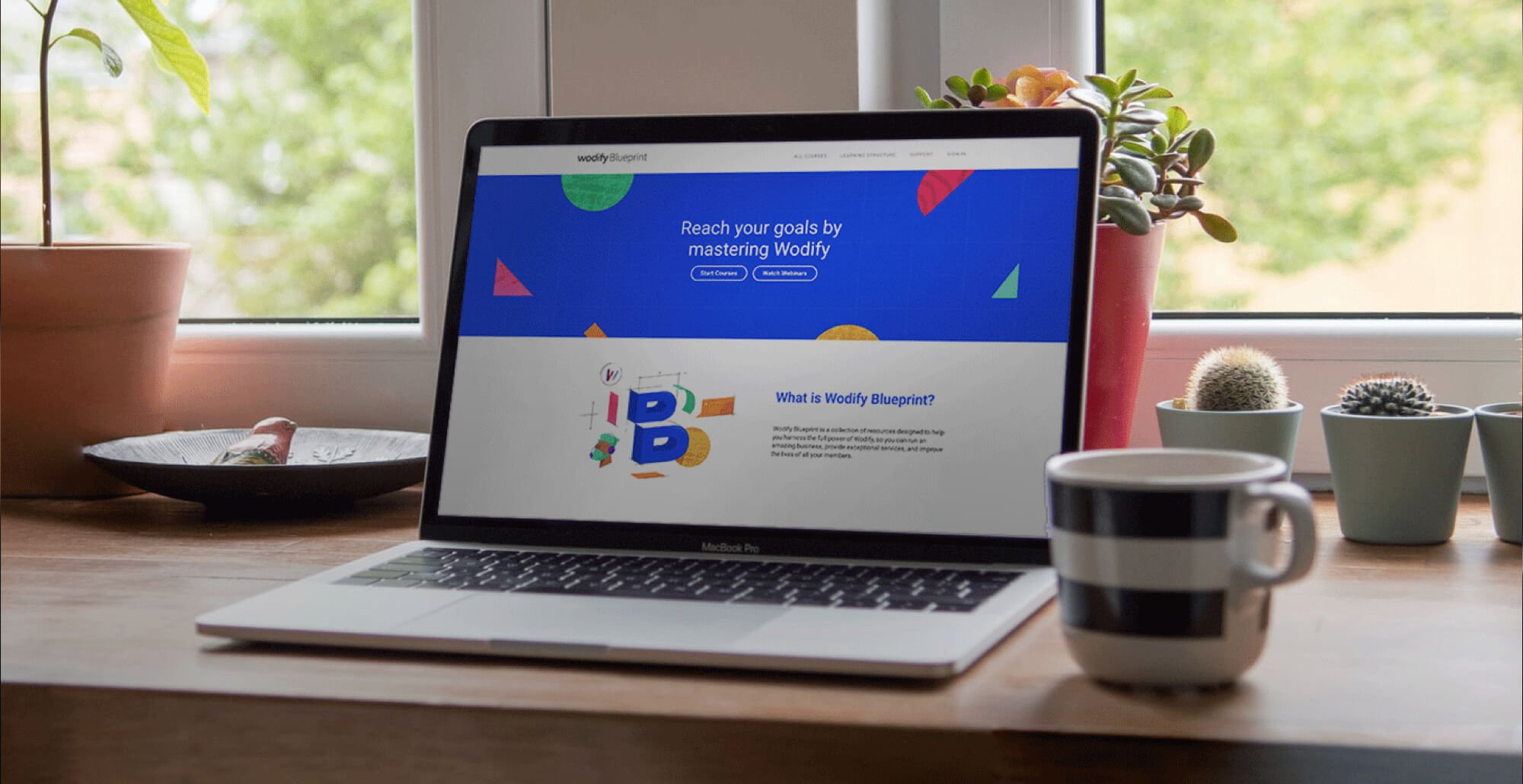 Take Control of Your Business with Wodify Blueprint