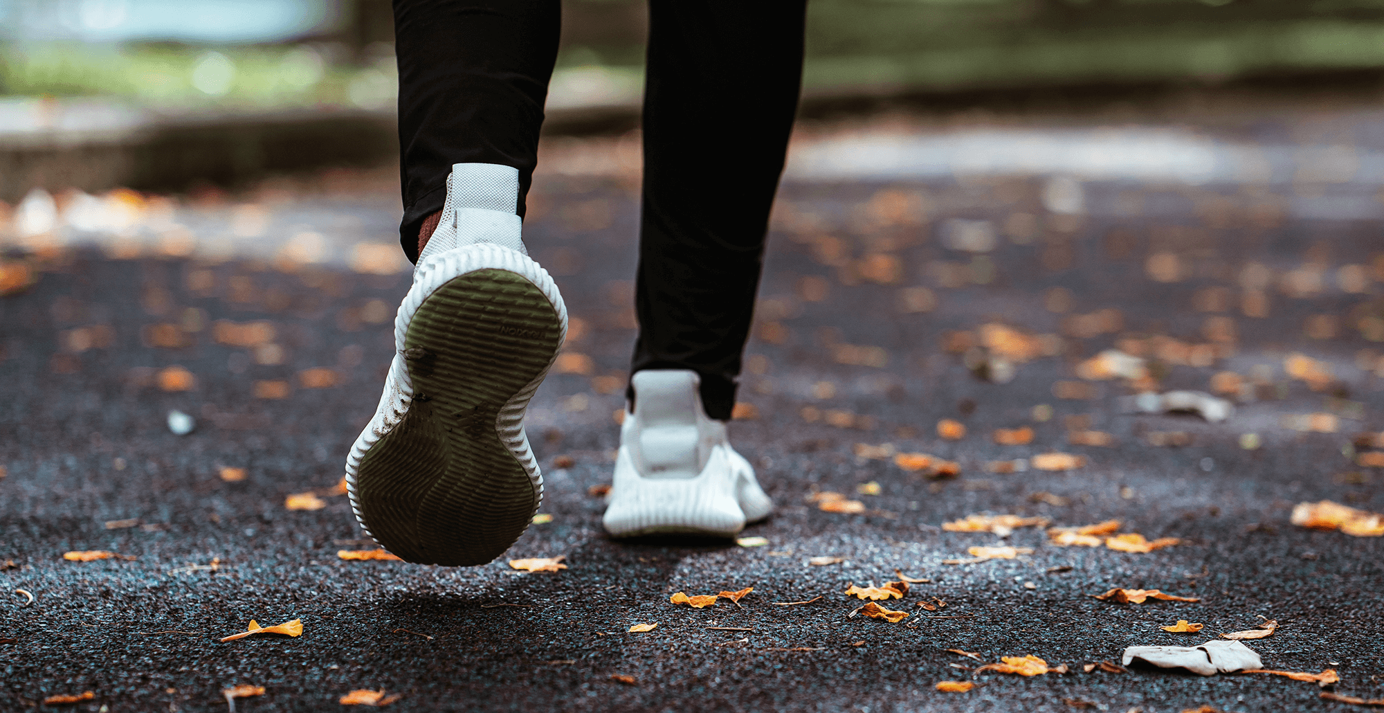 Behind the Numbers: Why Fall is the most important season to nurture your members