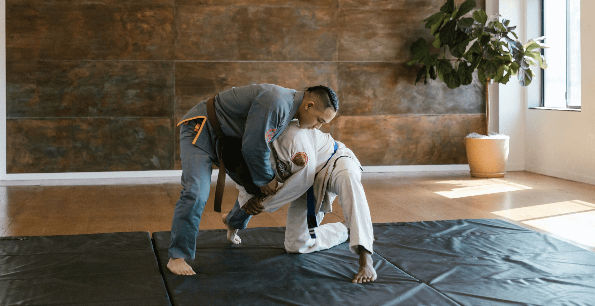 How to Open a Jiu-Jitsu Academy with the Right Software
