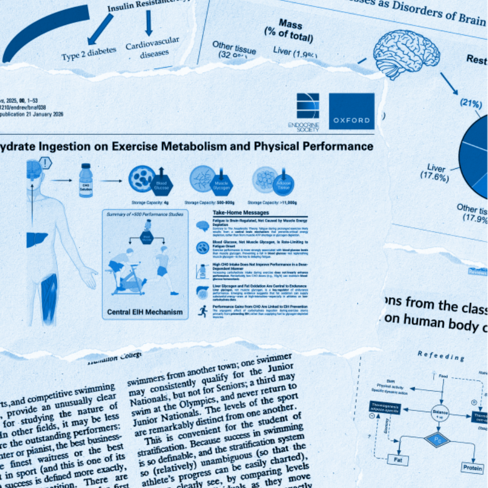 Brain | The Daily Fix